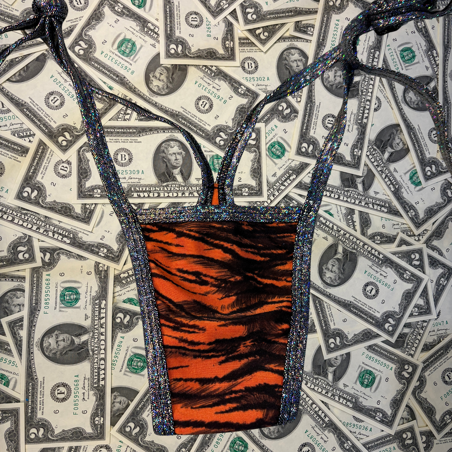 Tiger Iridescent Side Tie Thong Bikini Set