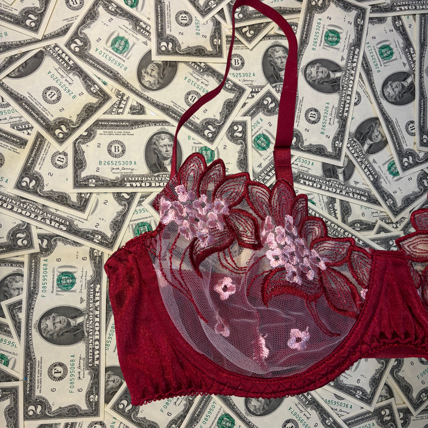 Harmless Crush Wine Red Lingerie Set
