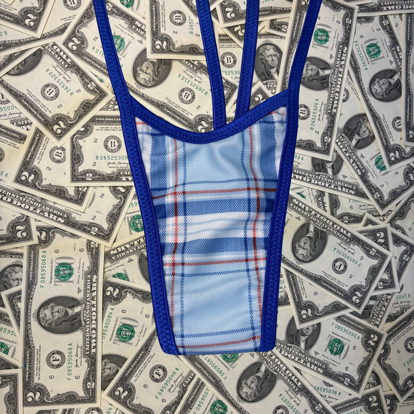 Baby Blue Plaid Slingshot Bikini Set With Money Bag