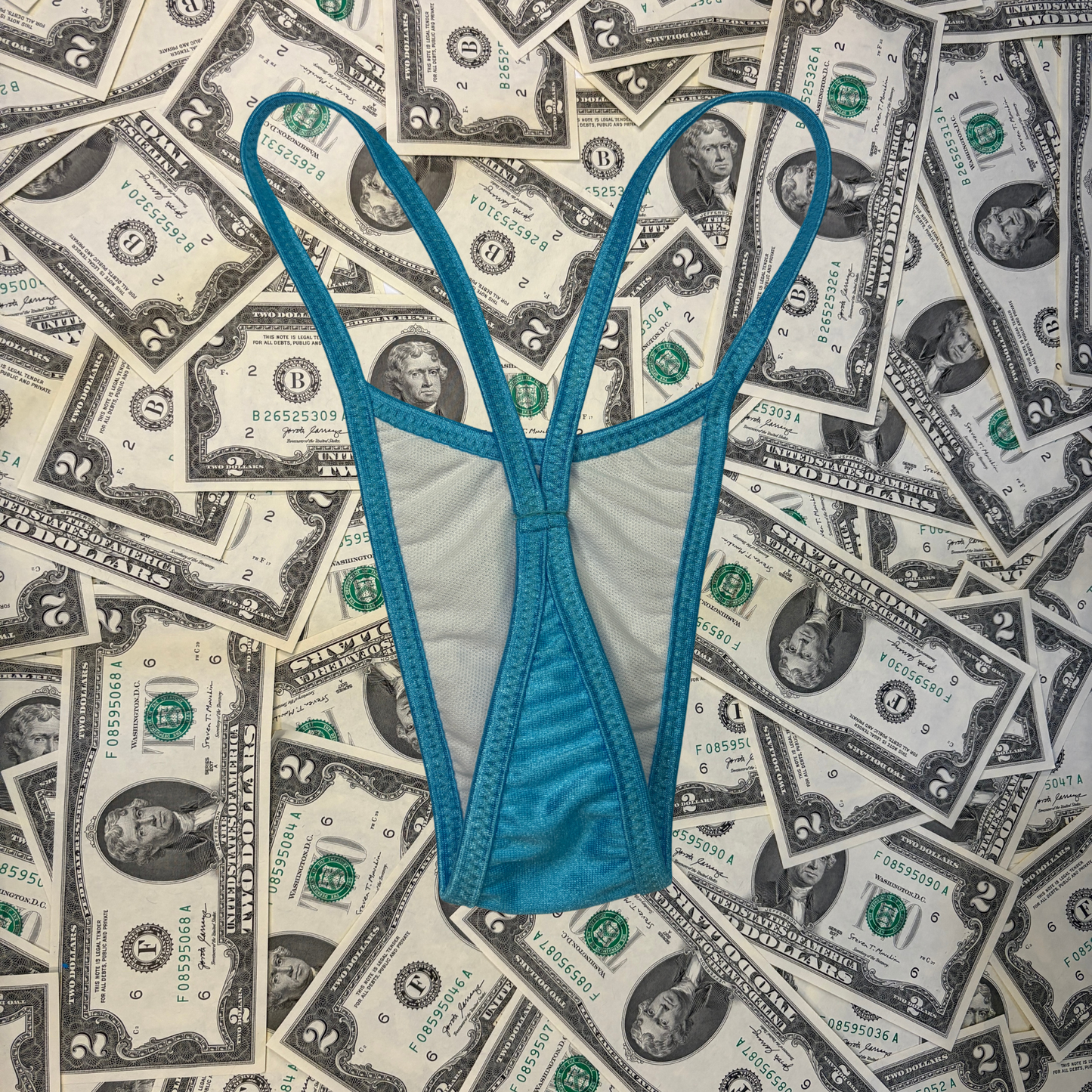 Y Back Thong Bikini