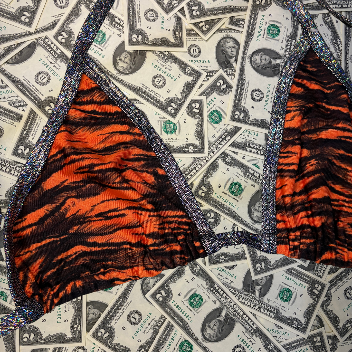 Tiger Iridescent Side Tie Thong Bikini Set