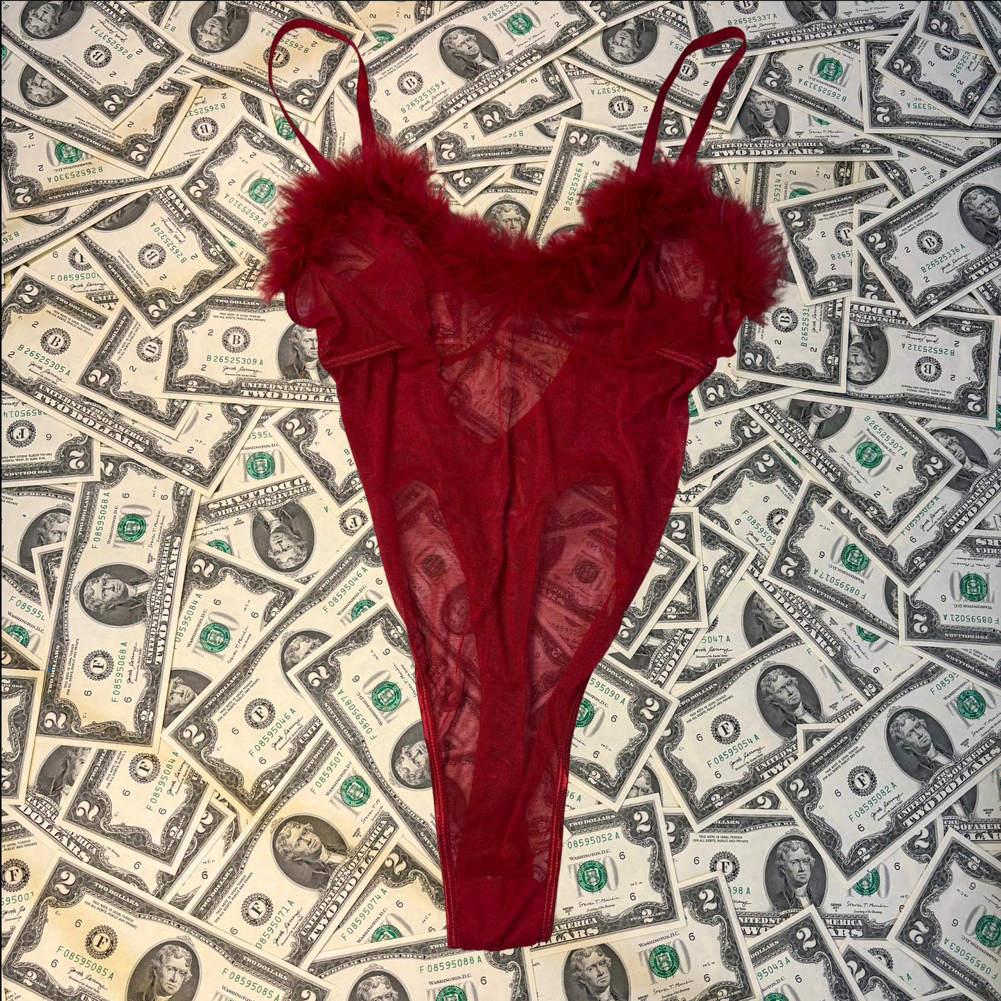 Diva Darling Red Mesh and Marabou Teddy