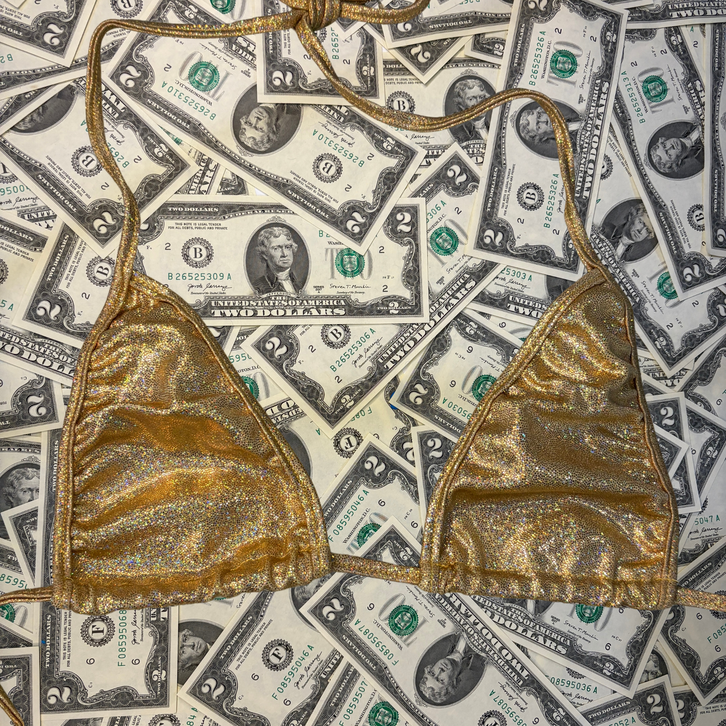 Gold Iridescent Thong Bikini Set