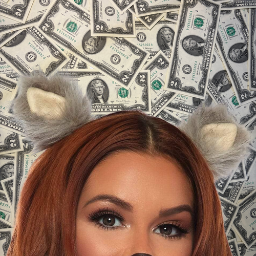 Gray Furry Animal Ear Hair Clips