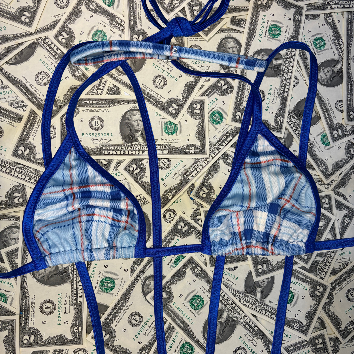 Baby Blue Plaid Slingshot Bikini Set With Money Bag
