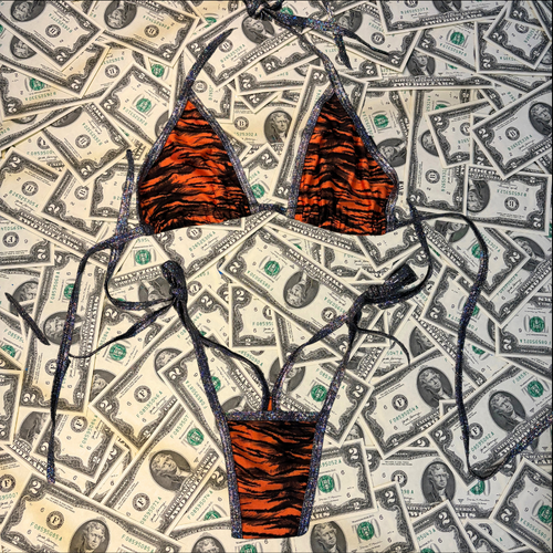 Tiger Iridescent Side Tie Thong Bikini Set