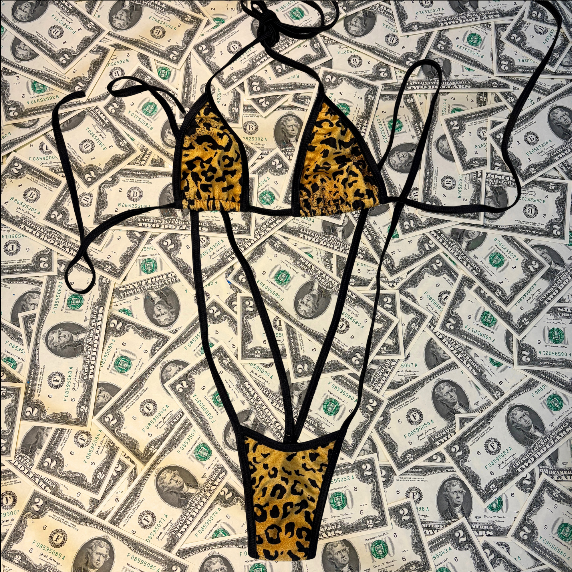 Cheetah Slingshot Bikini Set