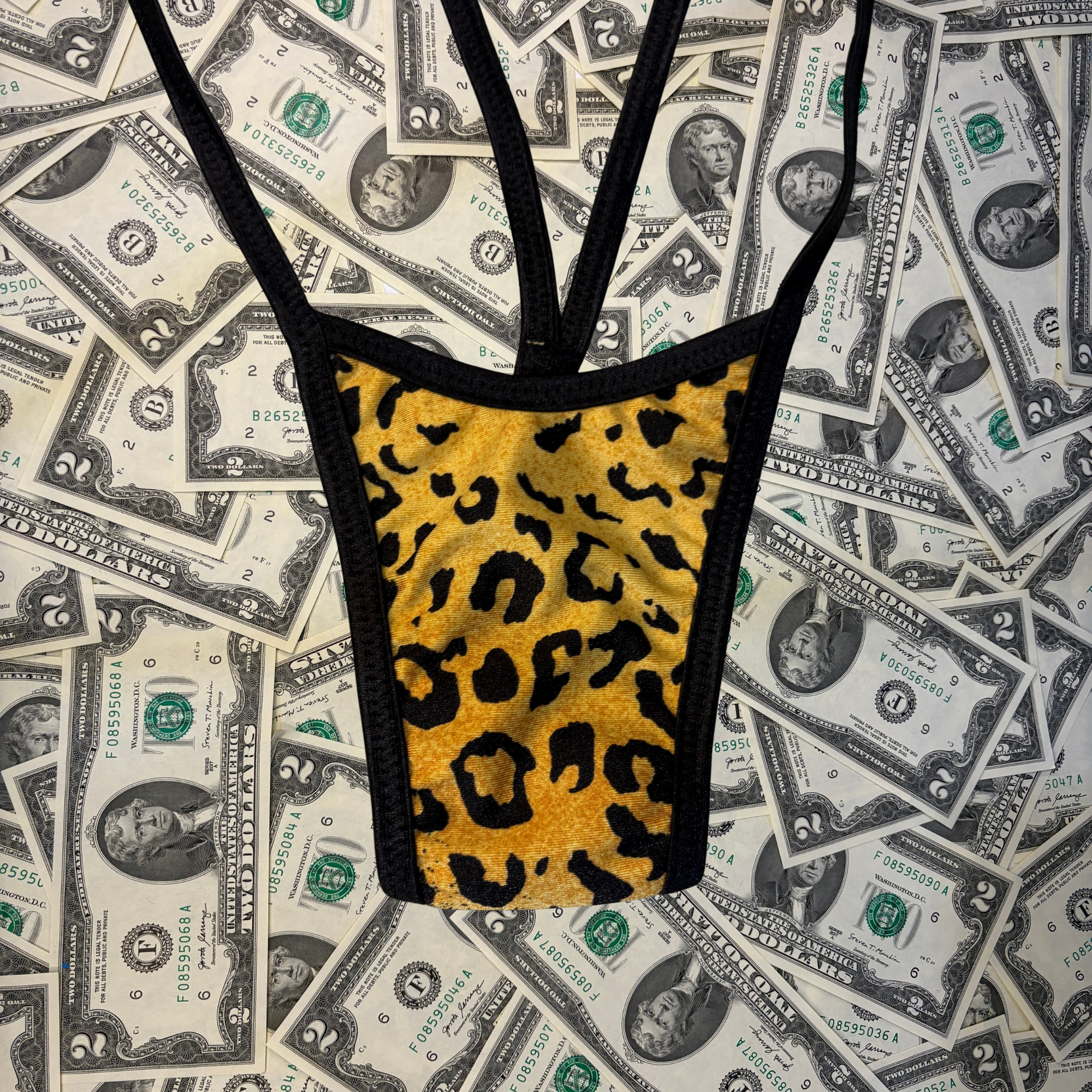 Cheetah Slingshot Bikini Set