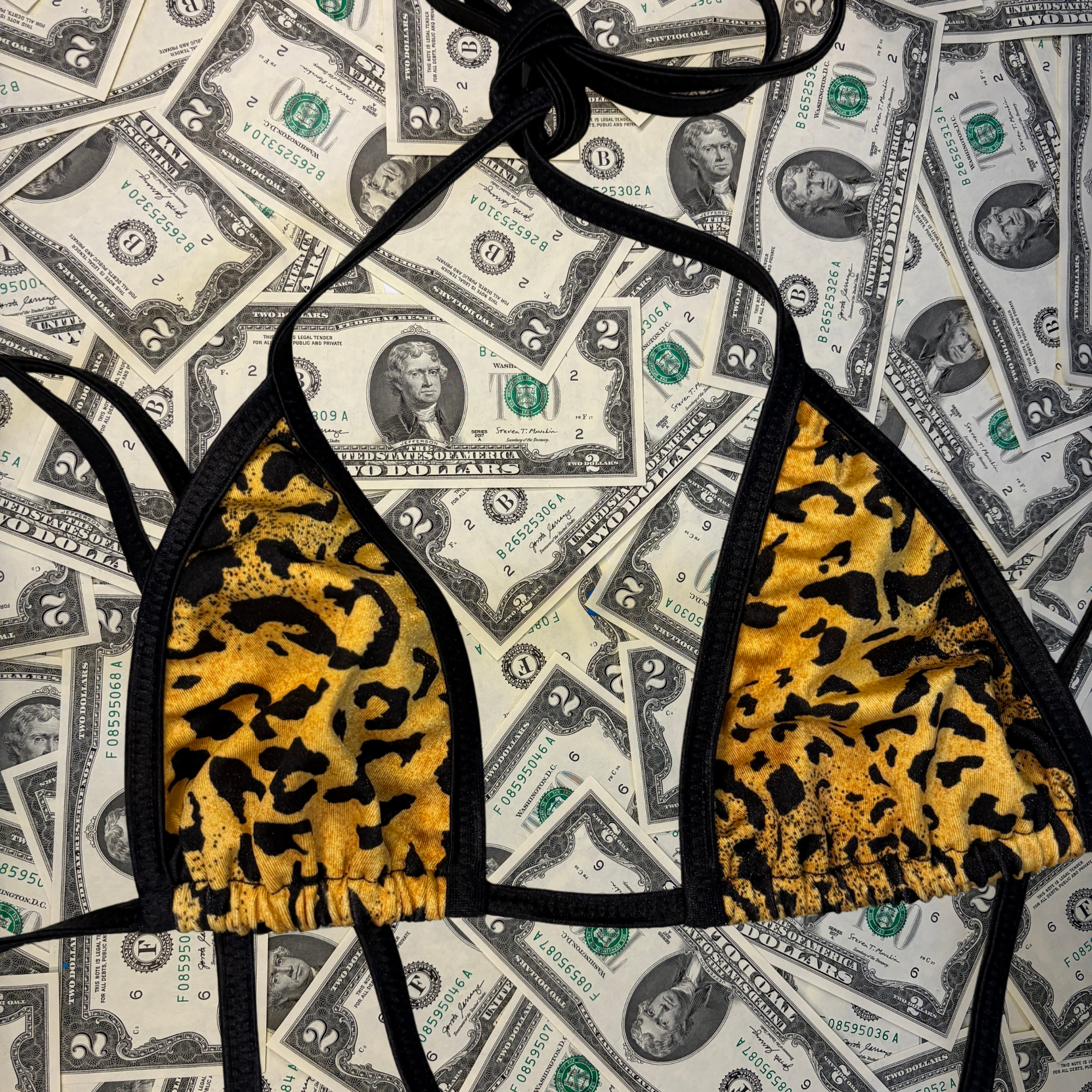 Cheetah Slingshot Bikini Set