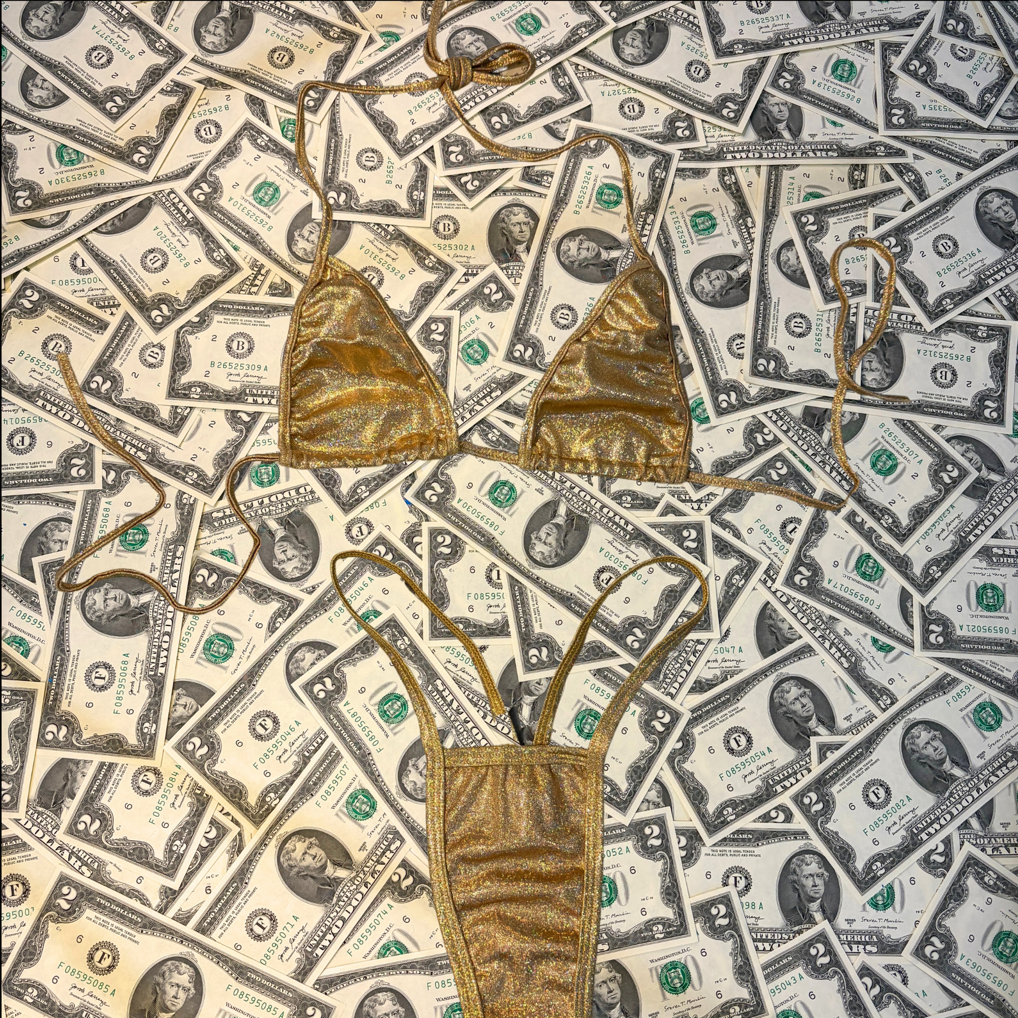 Iridescent Metallic Thong Bikini Set