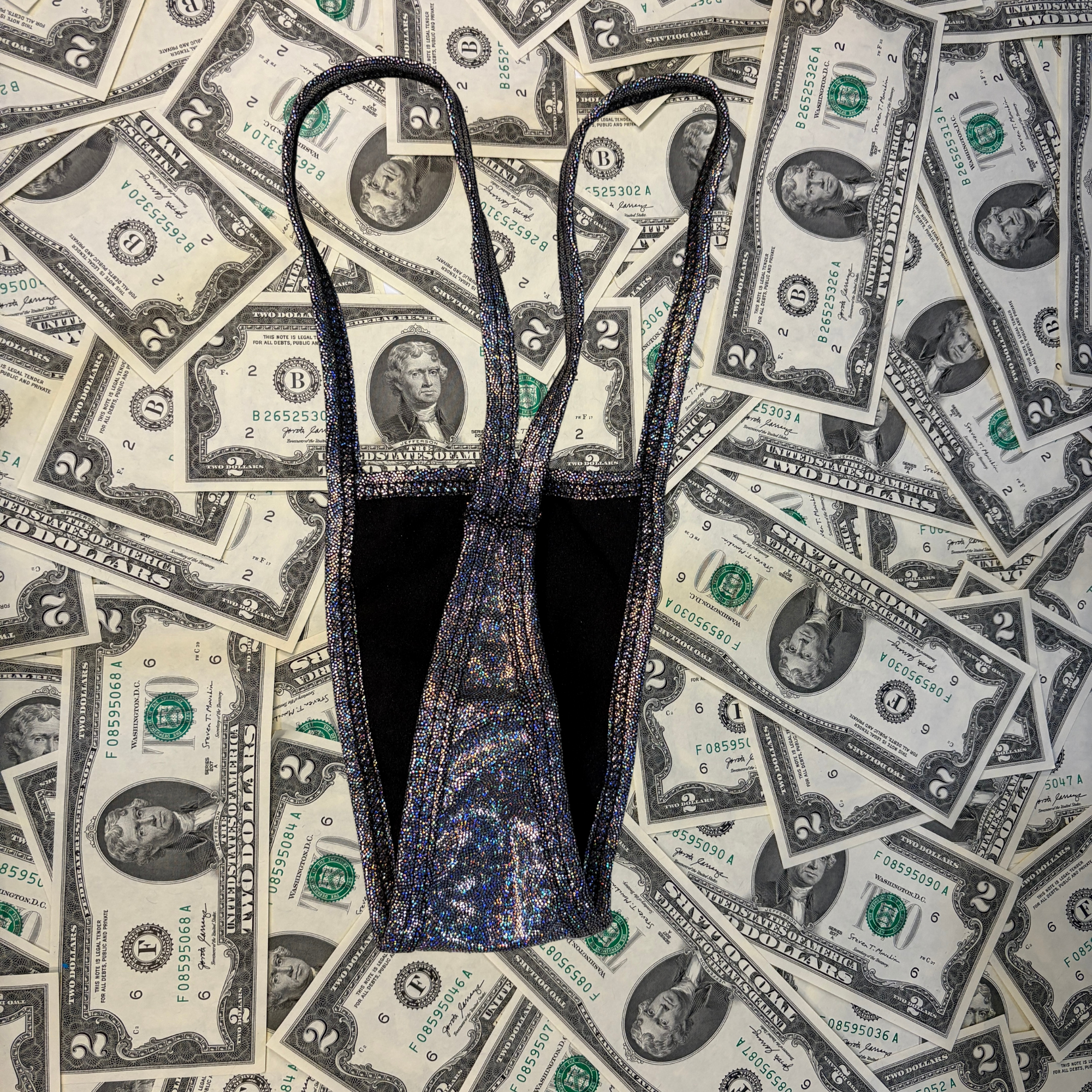 Iridescent Metallic Thong Bikini Set