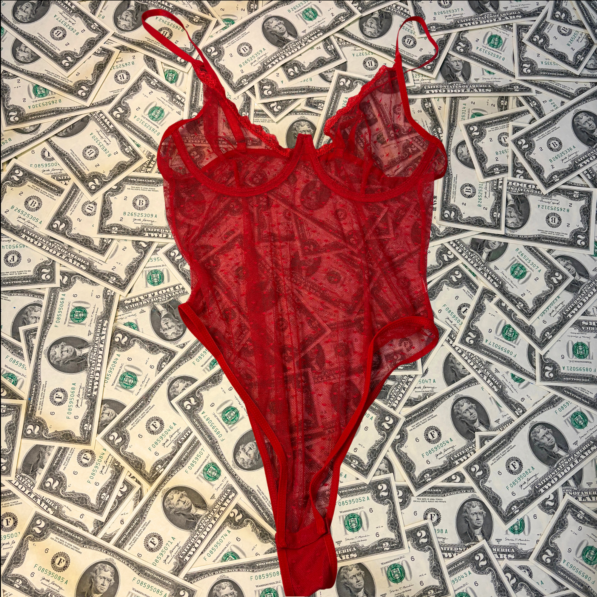 Lovergirl Red Mesh Wired Teddy