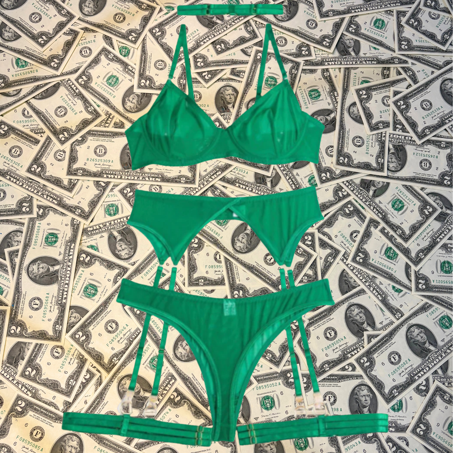 Mesh Wishes Garter Set