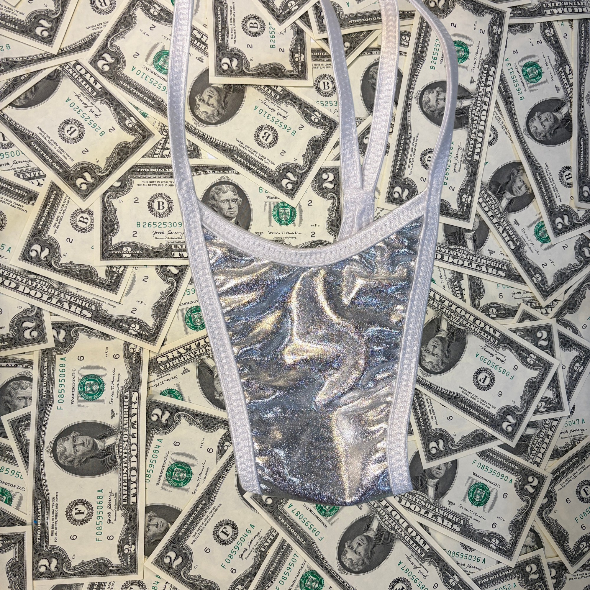 Silver Metallic Slim Top Slingshot Bikini Set