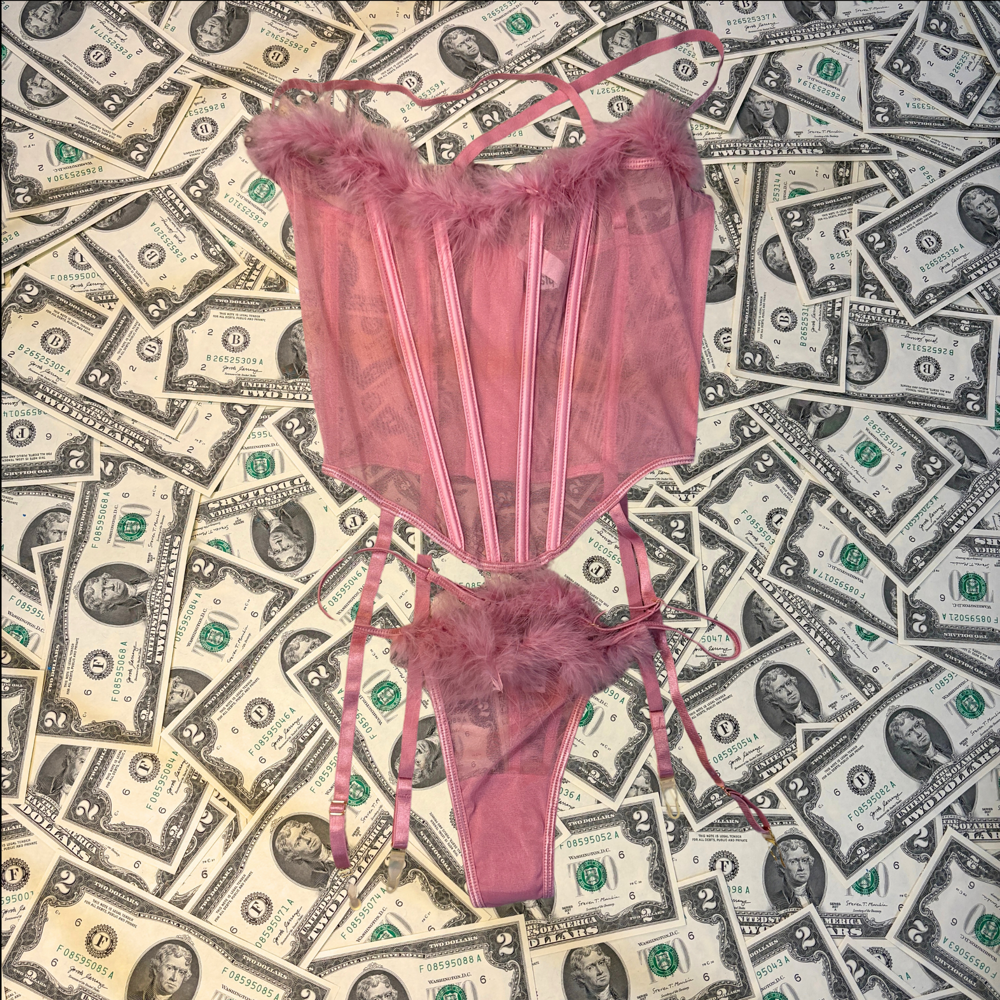 Stupid Cupid Mauve Mesh and Marabou Corset Set