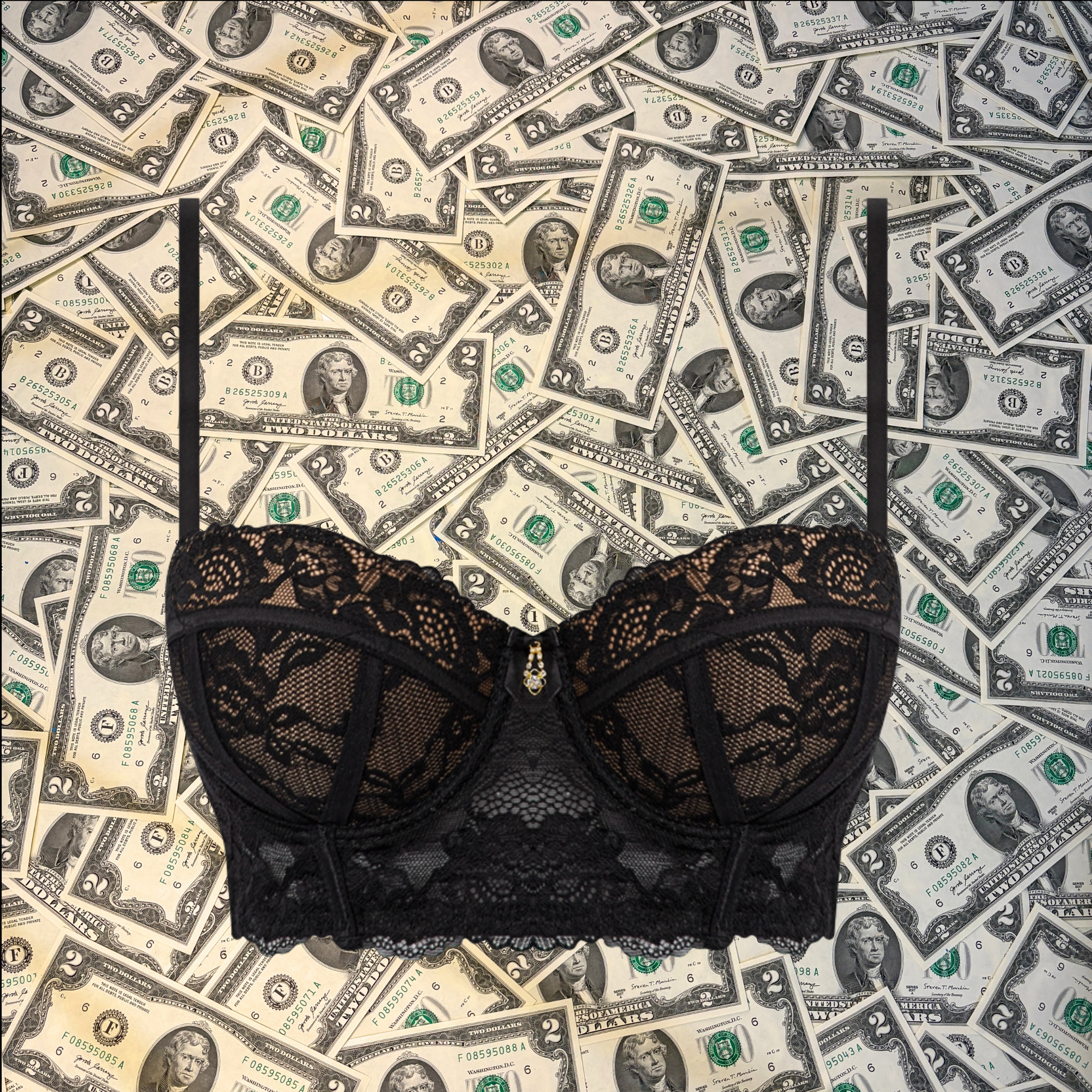 Full Engagement Bustier Push Up Bra