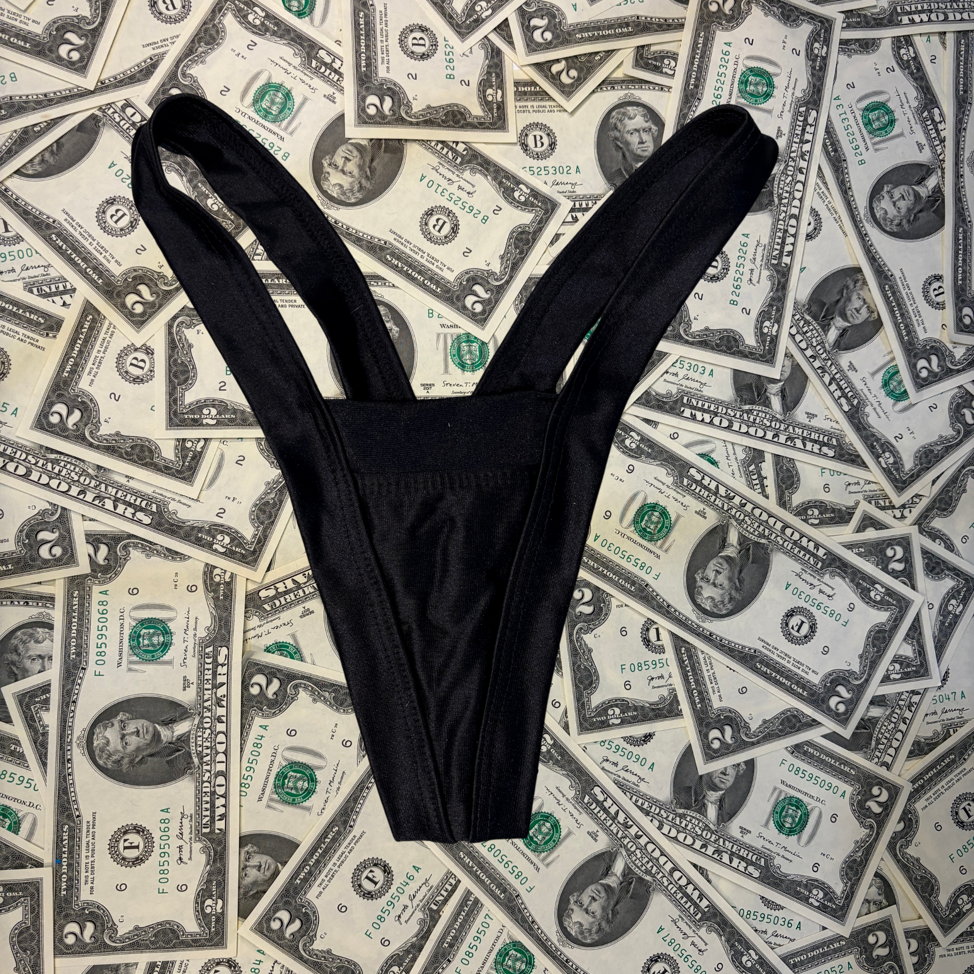 Wide Back Thong Bikini Bottoms