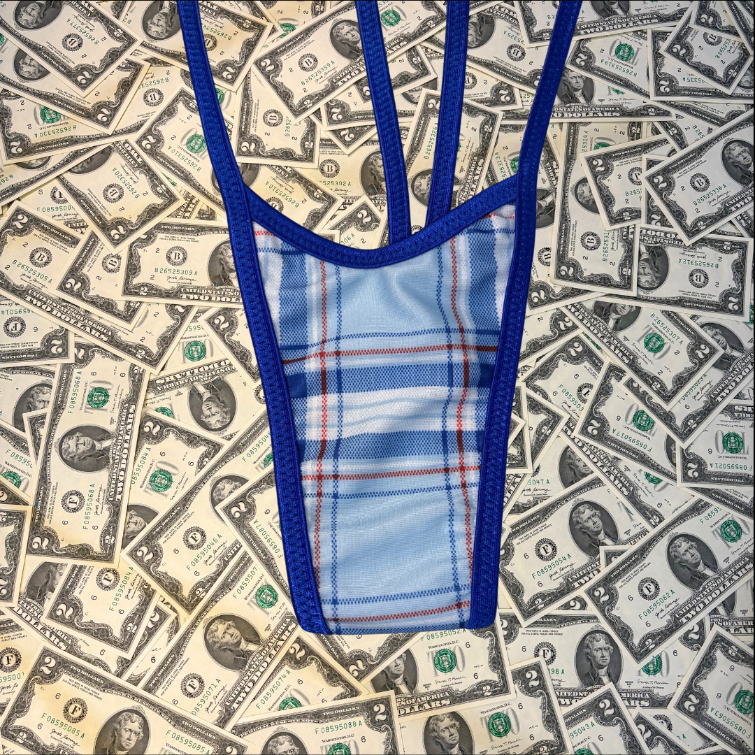 Baby Blue Plaid Slingshot Bikini Set With Money Bag