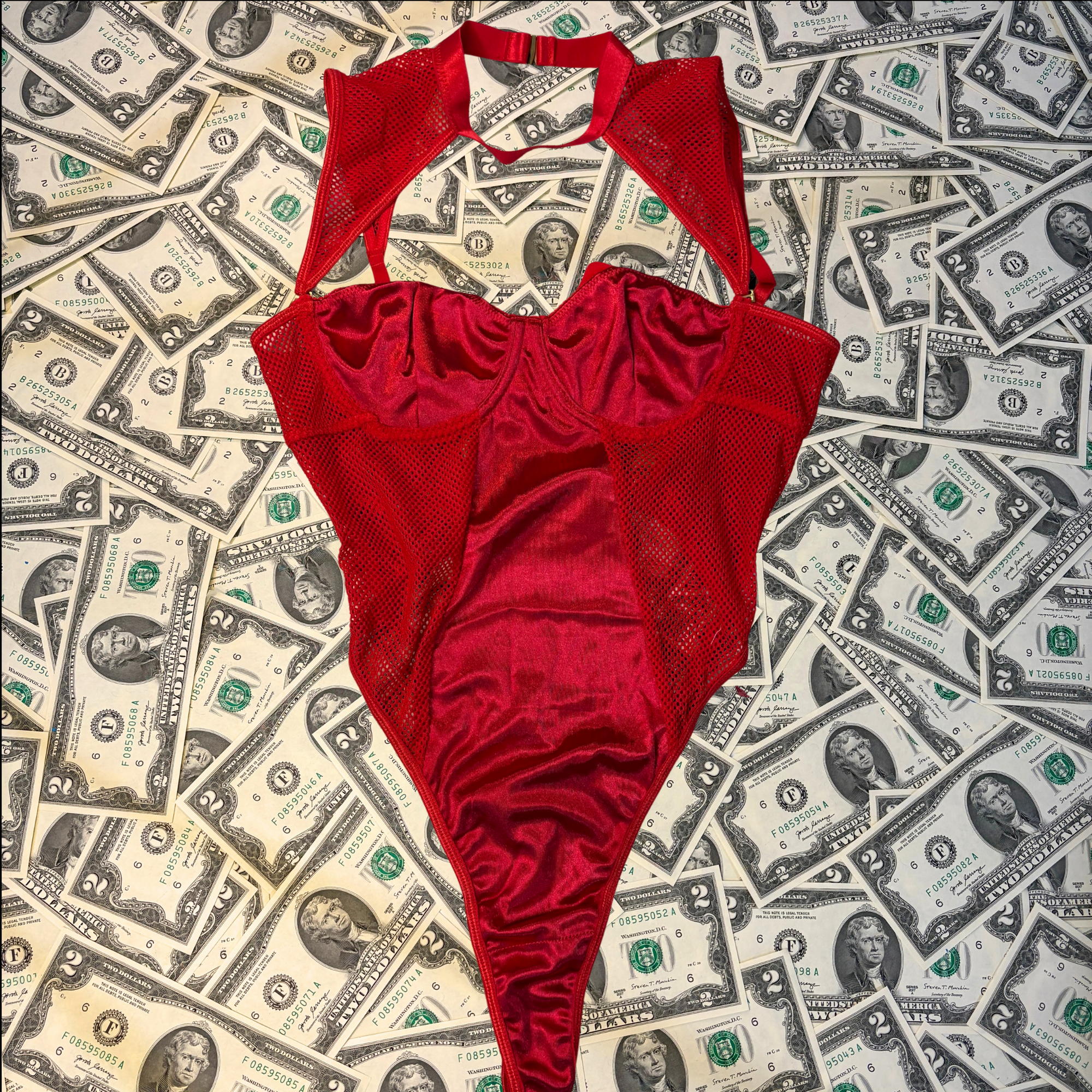 Temptress Satin Mesh High Neck Teddy