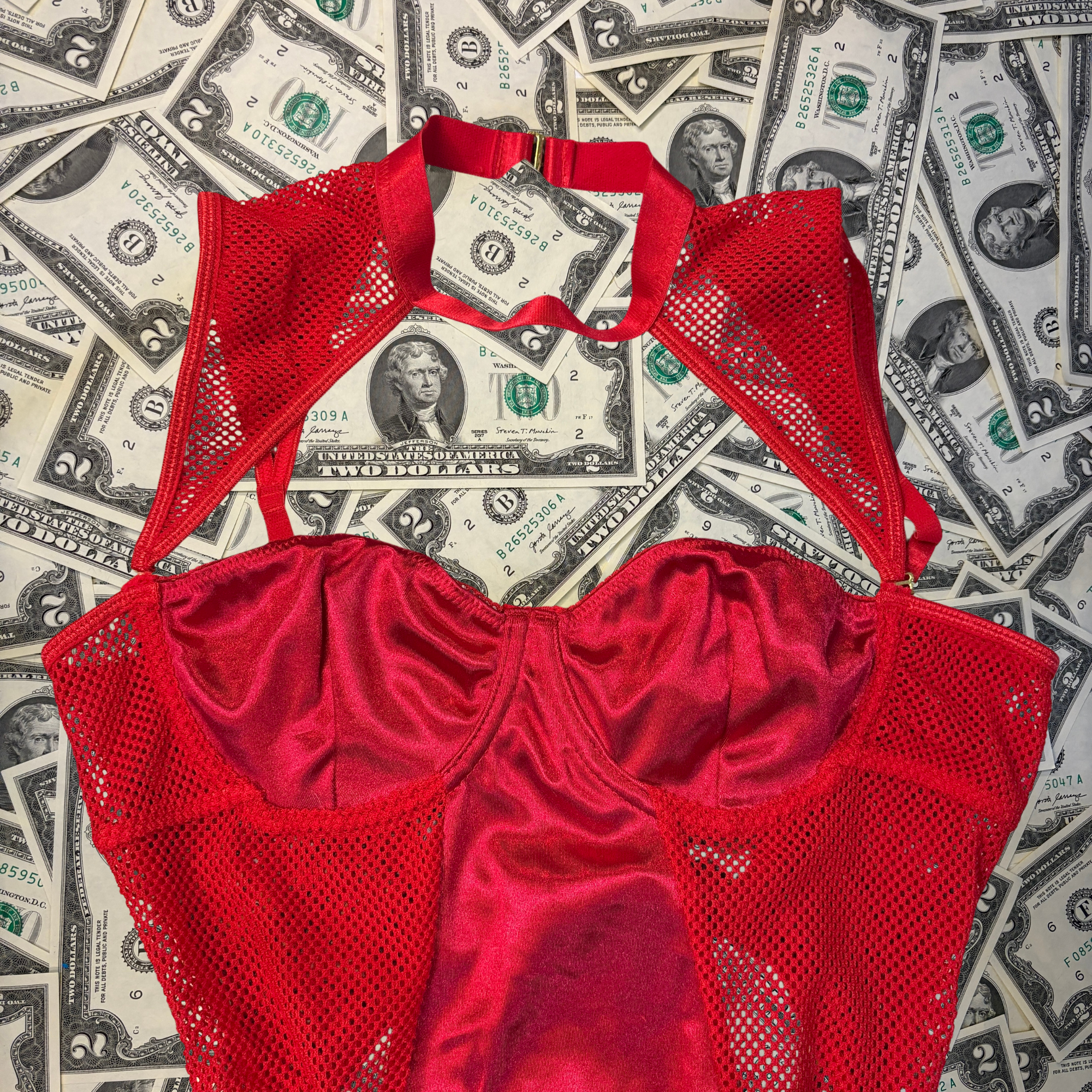 Temptress Satin Mesh High Neck Teddy