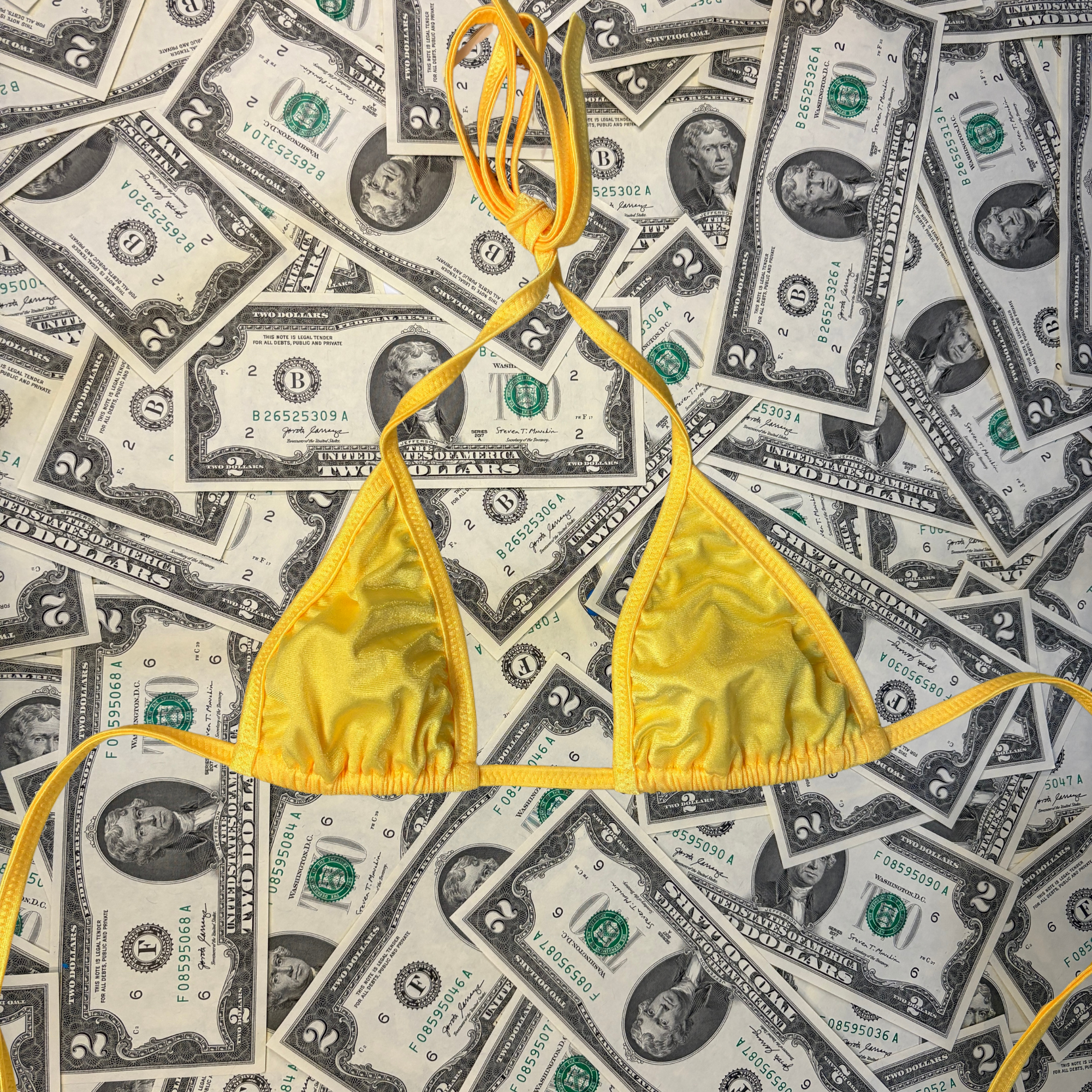 Tiny Triangle Bikini Top